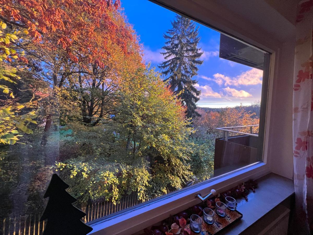 Moderne Und Zentral Gelegene Ferienwohnung In Braunlage Mit Rodelpiste Und Start Ski Langlauf In 300 Metern Entfernung المظهر الخارجي الصورة